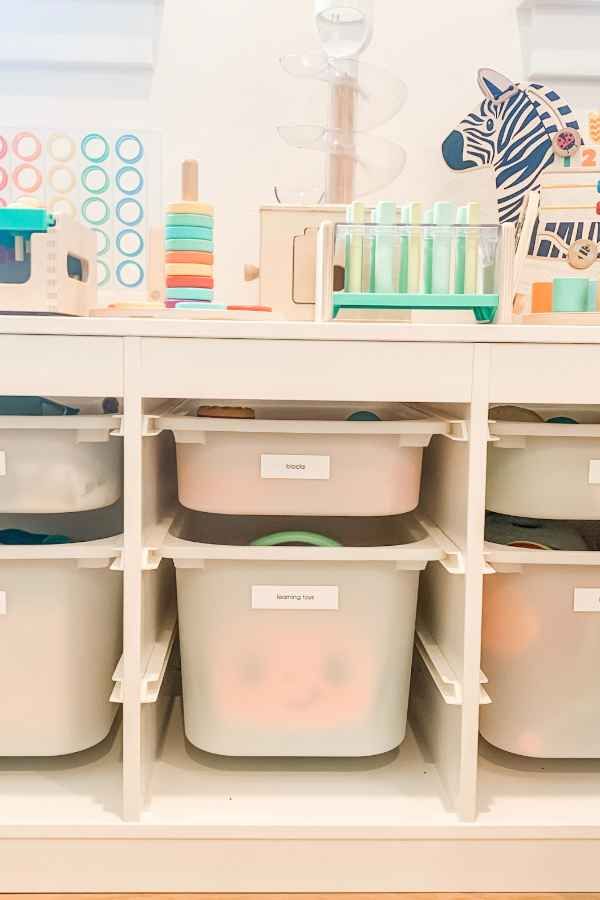 Home Organizer - Playroom Organized